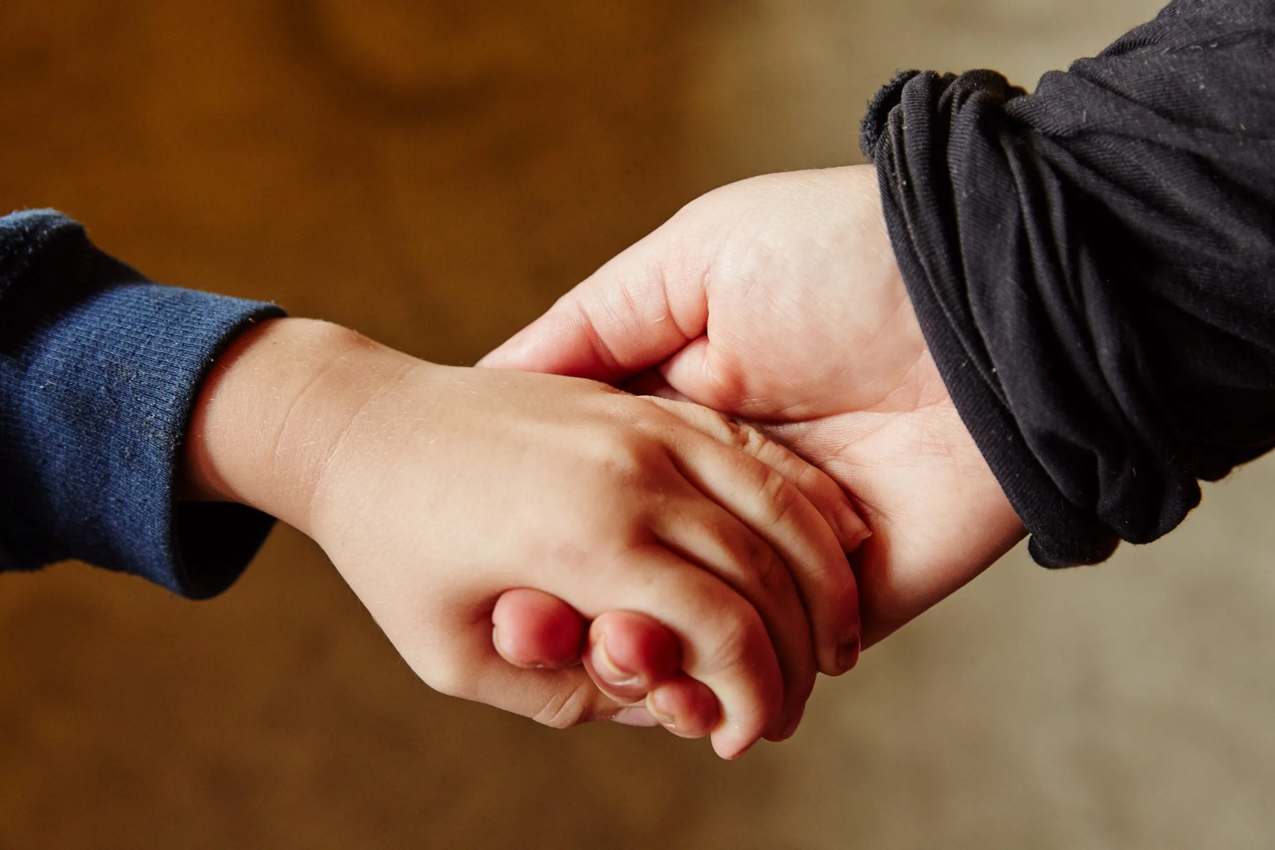 a close up photo of a child's hand holding a mother's hand - an example of how to help ozharvest