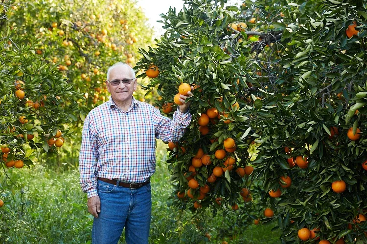 A male farmer Angelo Santangelo standing infront of his orange tree for Juice for Good and ForPurposeCo
