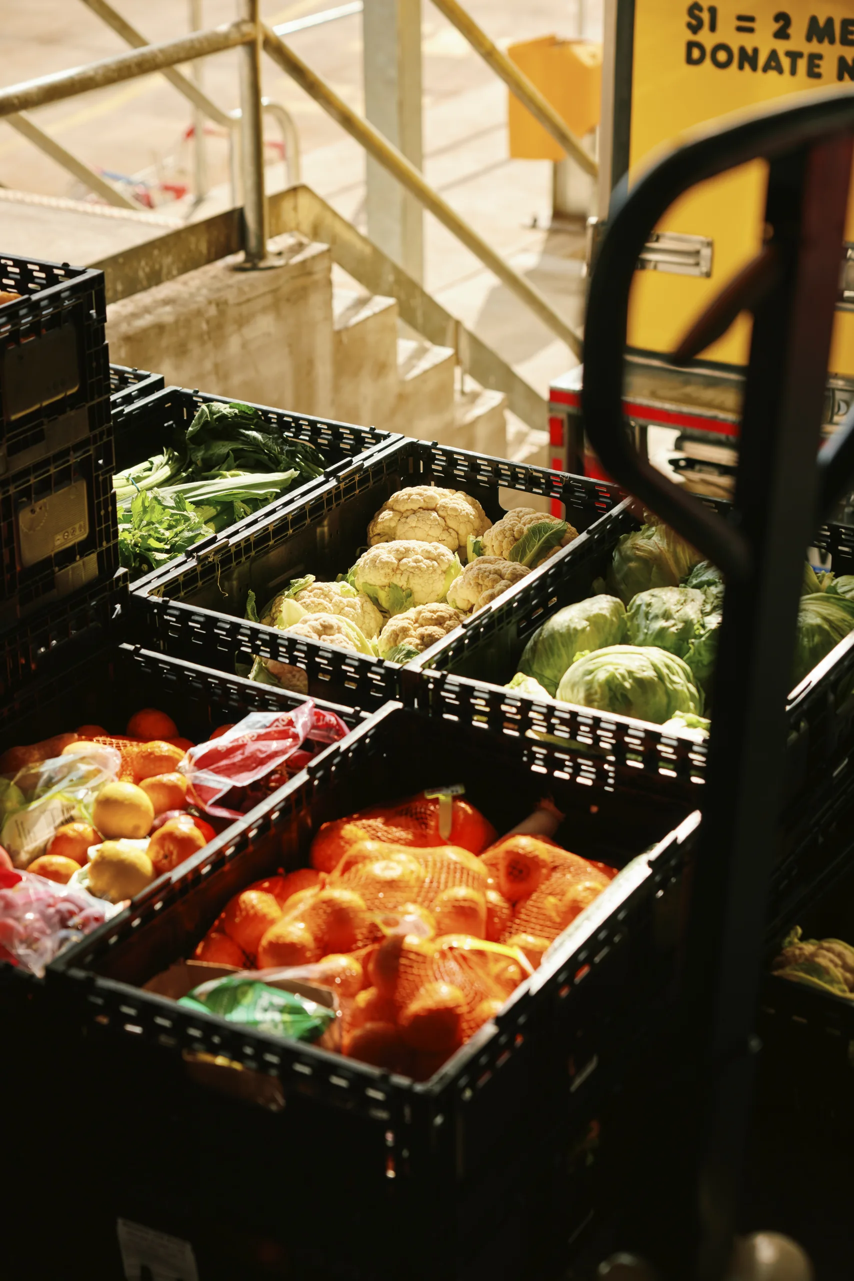 Melbourne_Food Rescue_Farley Webb (9)