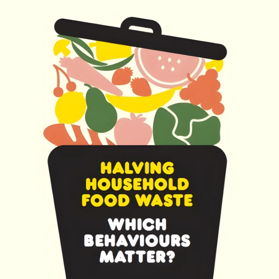 Illustration of overflowing food waste bin 'Halving household food waste. Which behaviours matter?'.